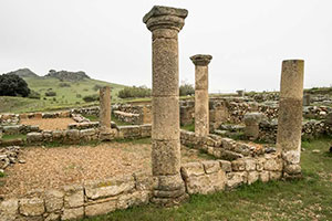 ADS Valle de Alcudia, ayudas, subvenciones, ayudas valle de alcudia, ayudas leader, GDR Valle de Alcudia y Sierra Madrona, valle de alcudia, sierra madrona, valle de alcudia y sierra madrona, subvenciones valle de alcudia, Abenójar, Almodóvar del Campo, Argamasilla de Calatrava, Brazatortas, Cabezarados, Cabezarrubias del Puerto, Fuencaliente, Hinojosas de Calatrava, Mestanza, El Hoyo, San Lorenzo de Calatrava, Solana Del Pino, Villamayor de Calatrava, Ayudas Abenójar, Ayudas Almodóvar del Campo, Ayudas Argamasilla de Calatrava, Ayudas Brazatortas, Ayudas Cabezarados, Ayudas Cabezarrubias del Puerto, Ayudas Fuencaliente, Ayudas Hinojosas de Calatrava, Ayudas Mestanza, Ayudas El Hoyo, Ayudas San Lorenzo de Calatrava, Ayudas Solana Del Pino, Ayudas Villamayor de Calatrava, Subvenciones Abenójar, Subvenciones Almodóvar del Campo, Subvenciones Argamasilla de Calatrava, Subvenciones Brazatortas, Subvenciones Cabezarados, Subvenciones Cabezarrubias del Puerto, Subvenciones Fuencaliente, Subvenciones Hinojosas de Calatrava, Subvenciones Mestanza, Subvenciones El Hoyo, Subvenciones San Lorenzo de Calatrava, Subvenciones Solana Del Pino, Subvenciones Villamayor de Calatrava, autonomos Abenójar, autonomos Almodóvar del Campo, autonomos Argamasilla de Calatrava, autonomos Brazatortas, autonomos Cabezarados, autonomos Cabezarrubias del Puerto, autonomos Fuencaliente, autonomos Hinojosas de Calatrava, autonomos Mestanza, autonomos El Hoyo, autonomos San Lorenzo de Calatrava, autonomos Solana Del Pino, autonomos Villamayor de Calatrava, empresas Abenójar, empresas Almodóvar del Campo, empresas Argamasilla de Calatrava, empresas Brazatortas, empresas Cabezarados, empresas Cabezarrubias del Puerto, empresas Fuencaliente, empresas Hinojosas de Calatrava, empresas Mestanza, empresas El Hoyo, empresas San Lorenzo de Calatrava, empresas Solana Del Pino, empresas Villamayor de Calatrava