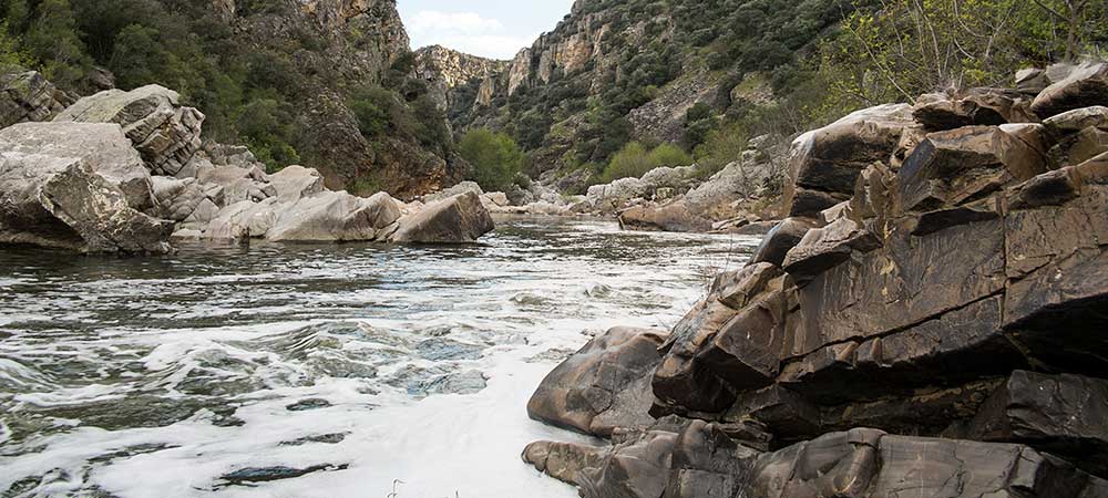 ADS Valle de Alcudia, ayudas, subvenciones, ayudas valle de alcudia, ayudas leader, GDR Valle de Alcudia y Sierra Madrona, valle de alcudia, sierra madrona, valle de alcudia y sierra madrona, subvenciones valle de alcudia, Abenójar, Almodóvar del Campo, Argamasilla de Calatrava, Brazatortas, Cabezarados, Cabezarrubias del Puerto, Fuencaliente, Hinojosas de Calatrava, Mestanza, El Hoyo, San Lorenzo de Calatrava, Solana Del Pino, Villamayor de Calatrava, Ayudas Abenójar, Ayudas Almodóvar del Campo, Ayudas Argamasilla de Calatrava, Ayudas Brazatortas, Ayudas Cabezarados, Ayudas Cabezarrubias del Puerto, Ayudas Fuencaliente, Ayudas Hinojosas de Calatrava, Ayudas Mestanza, Ayudas El Hoyo, Ayudas San Lorenzo de Calatrava, Ayudas Solana Del Pino, Ayudas Villamayor de Calatrava, Subvenciones Abenójar, Subvenciones Almodóvar del Campo, Subvenciones Argamasilla de Calatrava, Subvenciones Brazatortas, Subvenciones Cabezarados, Subvenciones Cabezarrubias del Puerto, Subvenciones Fuencaliente, Subvenciones Hinojosas de Calatrava, Subvenciones Mestanza, Subvenciones El Hoyo, Subvenciones San Lorenzo de Calatrava, Subvenciones Solana Del Pino, Subvenciones Villamayor de Calatrava, autonomos Abenójar, autonomos Almodóvar del Campo, autonomos Argamasilla de Calatrava, autonomos Brazatortas, autonomos Cabezarados, autonomos Cabezarrubias del Puerto, autonomos Fuencaliente, autonomos Hinojosas de Calatrava, autonomos Mestanza, autonomos El Hoyo, autonomos San Lorenzo de Calatrava, autonomos Solana Del Pino, autonomos Villamayor de Calatrava, empresas Abenójar, empresas Almodóvar del Campo, empresas Argamasilla de Calatrava, empresas Brazatortas, empresas Cabezarados, empresas Cabezarrubias del Puerto, empresas Fuencaliente, empresas Hinojosas de Calatrava, empresas Mestanza, empresas El Hoyo, empresas San Lorenzo de Calatrava, empresas Solana Del Pino, empresas Villamayor de Calatrava